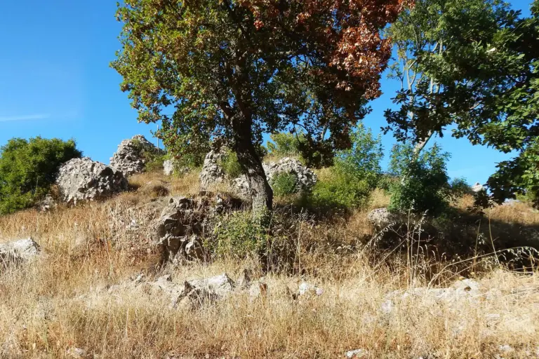 Rocca di Pietracassia 11