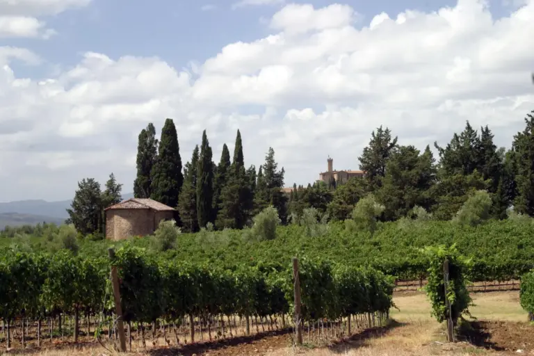 Castello di Poggio alle Mura - Castello Banfi 13