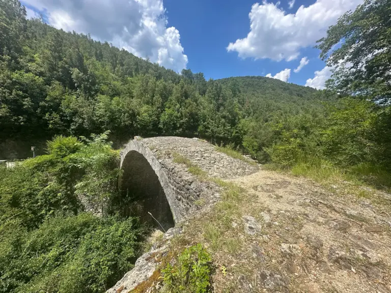 Ponte della Pia 5