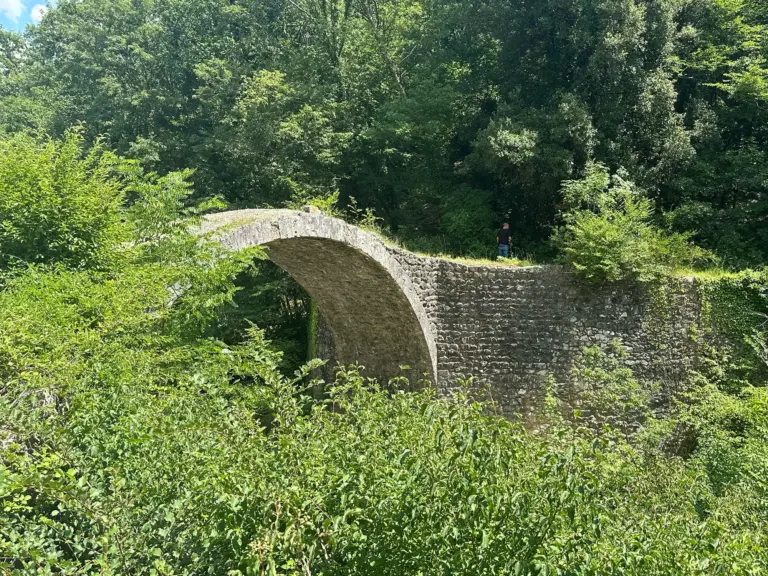 Ponte della Pia 2