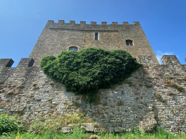 Castello dei Conti Guidi - Poppi 11