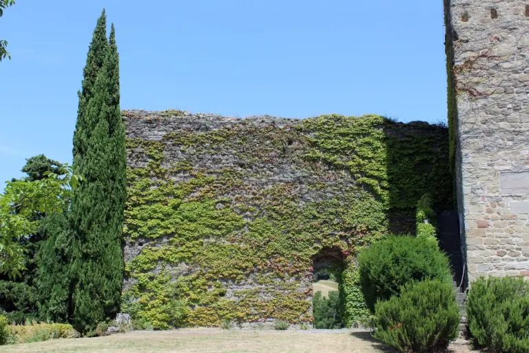 Castello di Porciano 6