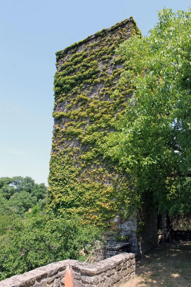 Castello di Porciano 10
