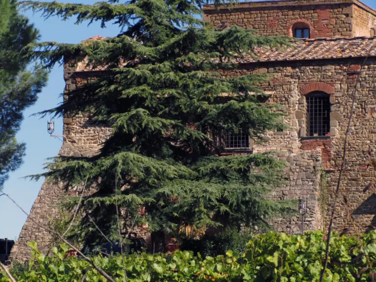 Castello di Quarate 4