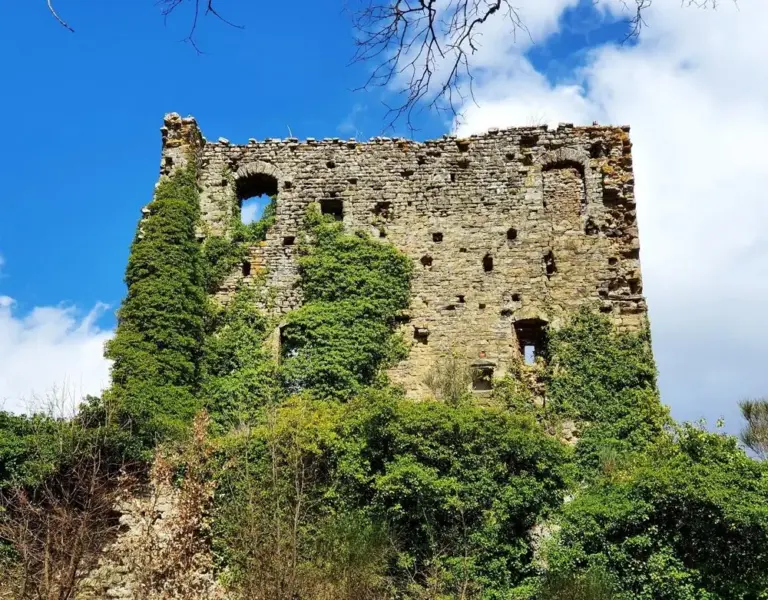 Castello di Ranco 1