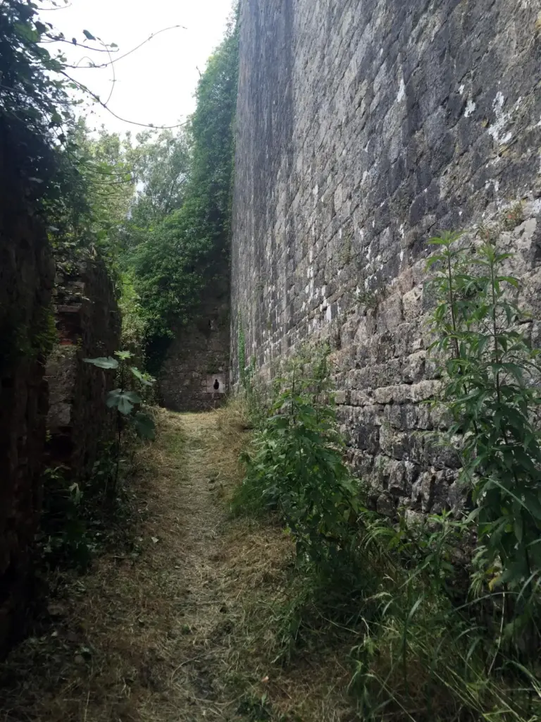 Rocca di San Paolino - Ripafratta 11