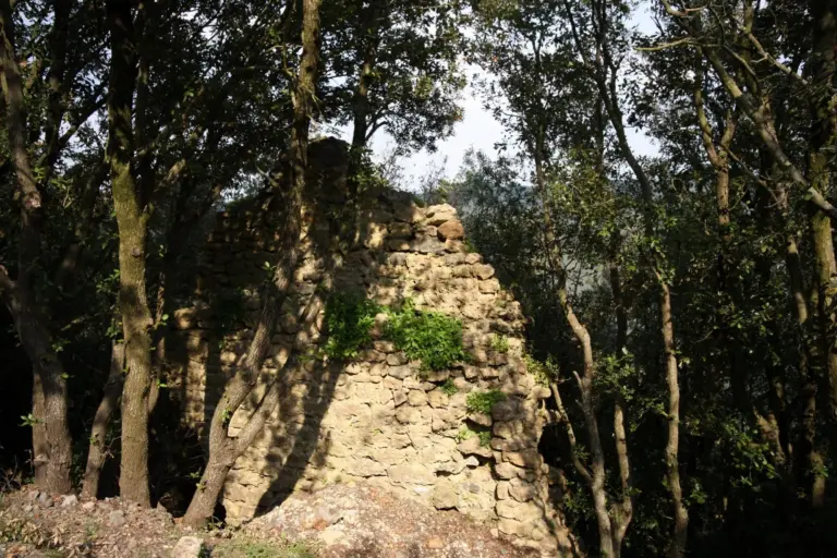 Rocca Sillana 16