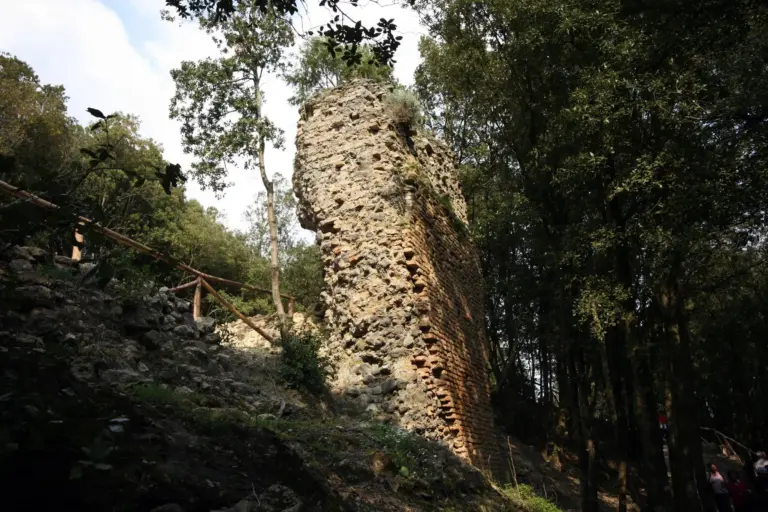 Rocca Sillana 15
