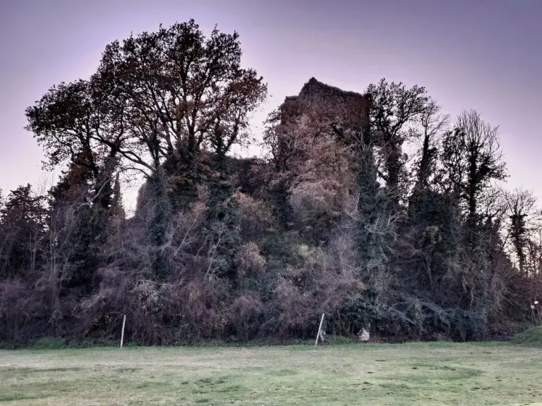 Castello di Rondine 5