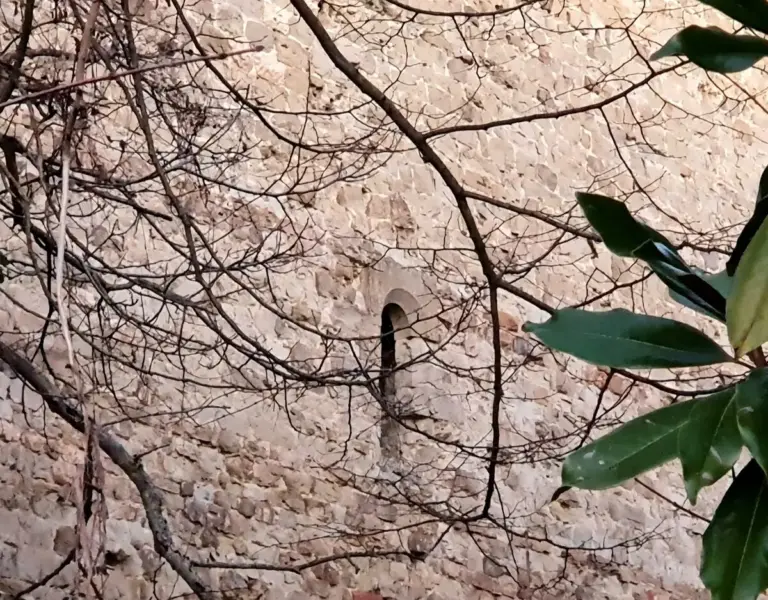 Castello di Rondine 7