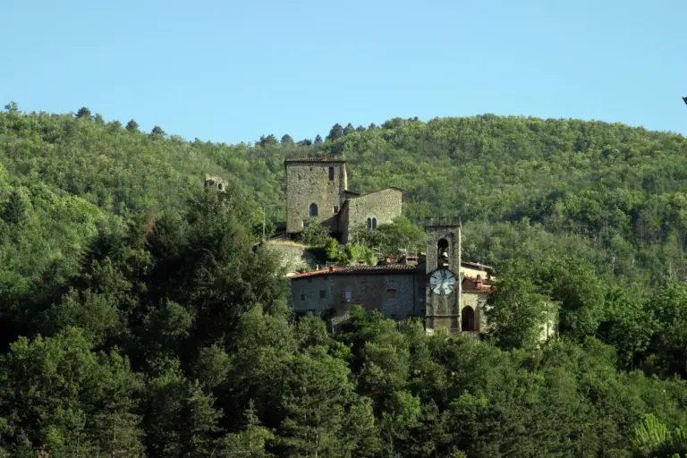 Castel San Niccolò 1