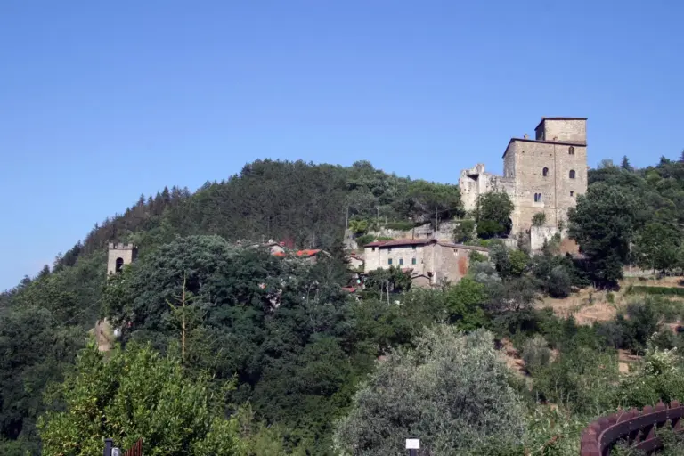 Castel San Niccolò 2