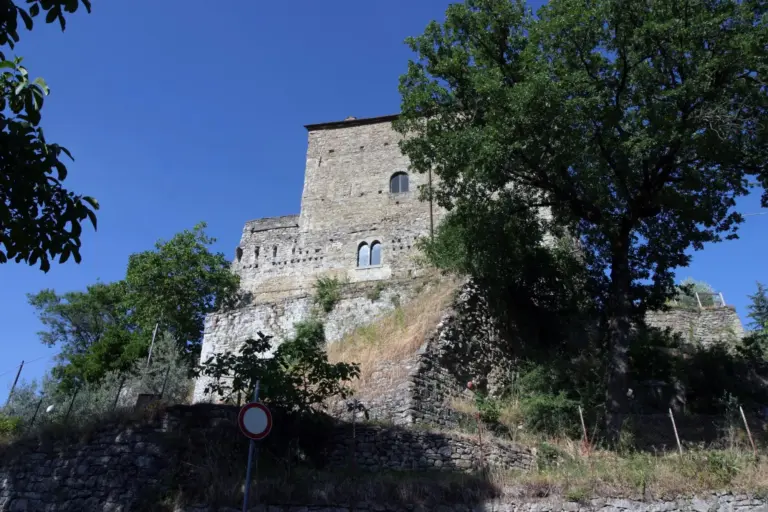 Castel San Niccolò 9