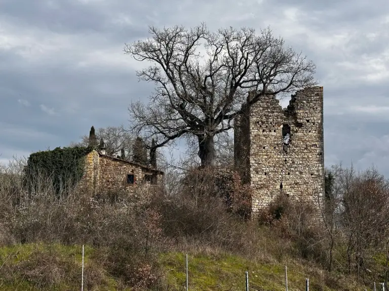 San Polo di Torre 2