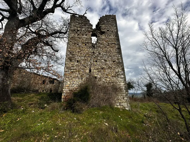 San Polo di Torre 5