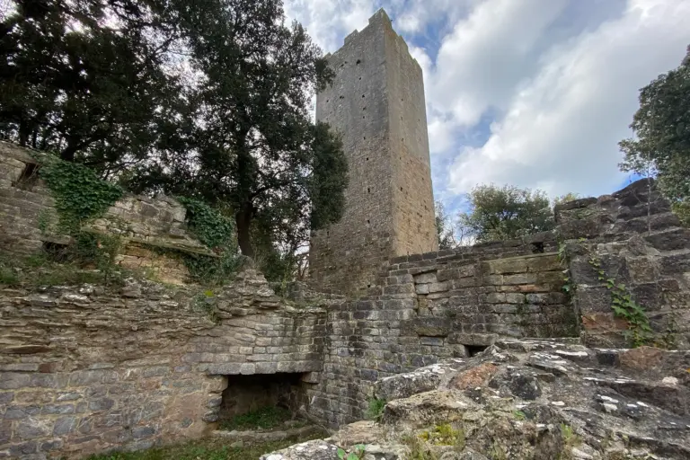 Abbazia di San Rabano e Torre dell'Uccellina 7