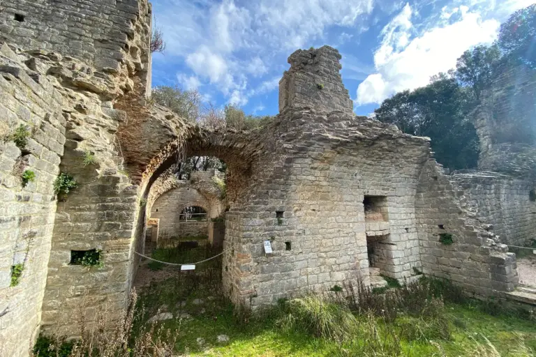 Abbazia di San Rabano e Torre dell'Uccellina 8