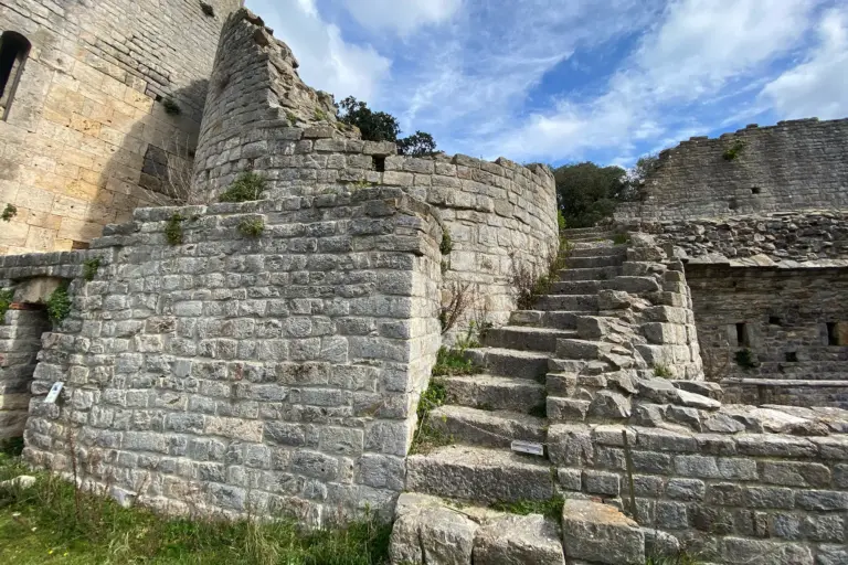 Abbazia di San Rabano e Torre dell'Uccellina 13