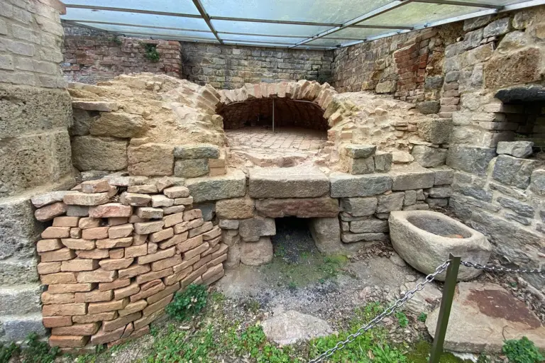 Abbazia di San Rabano e Torre dell'Uccellina 15