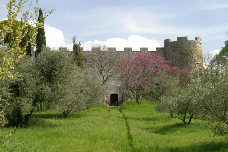 Rocca di Saturnia - Castello Ciacci 1