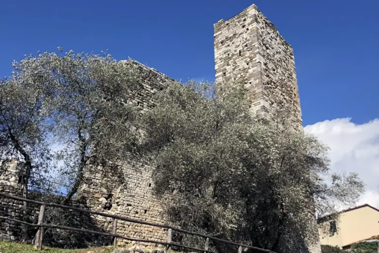 Rocca Nuova e Torre del Barbarossa - Serravalle Pistoiese 3