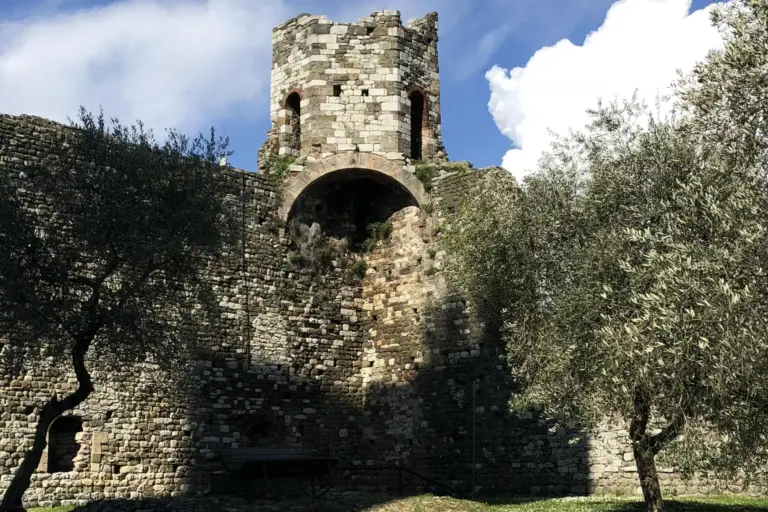 Rocca Nuova e Torre del Barbarossa - Serravalle Pistoiese 7