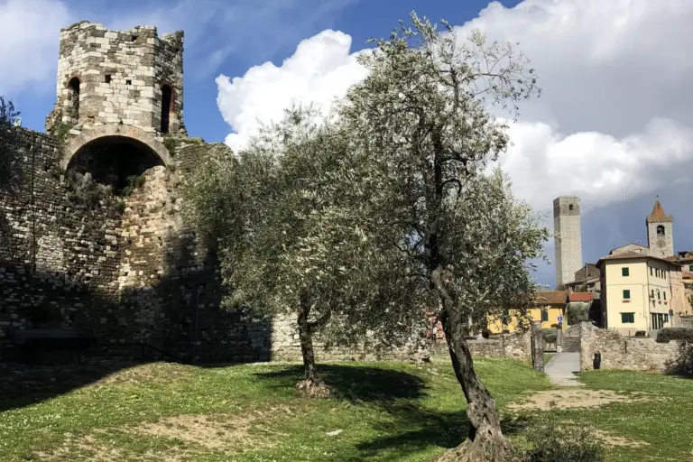 Rocca Nuova e Torre del Barbarossa - Serravalle Pistoiese 11