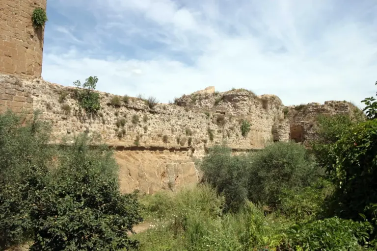 Rocca Orsini - Sorano 7
