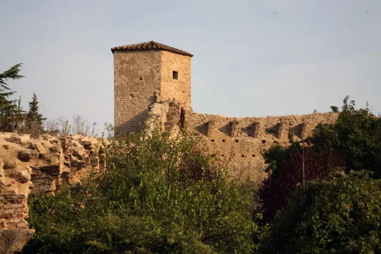 Rocca di Staggia Senese (Castello dei Franzesi) 17