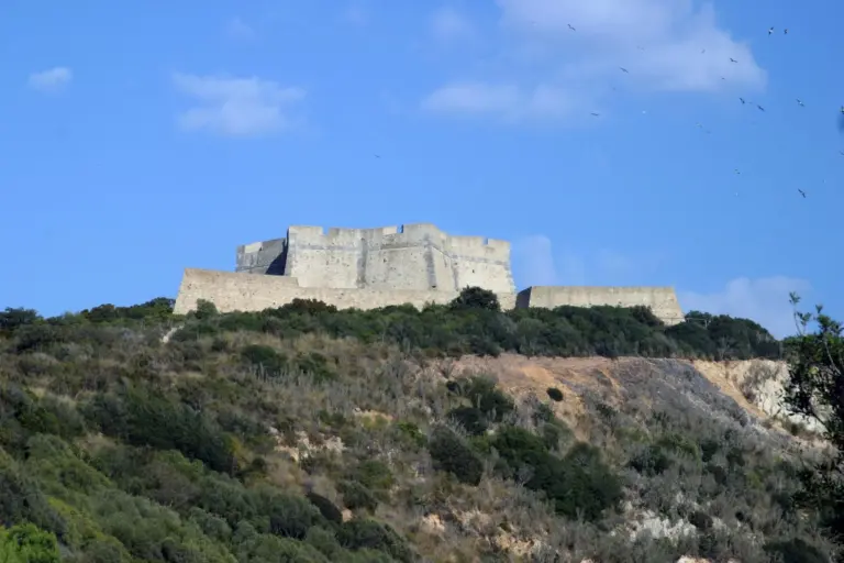 Forte Stella 1