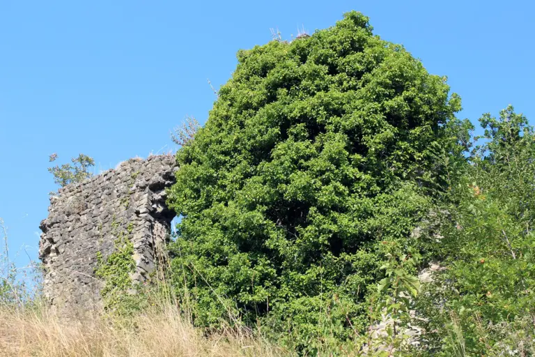 Castello di Treschietto 8