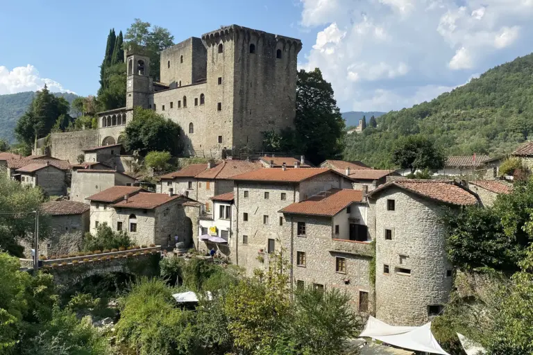 Castello della Verrucola de' Bosi 1