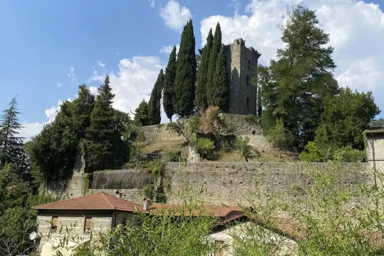 Castello della Verrucola de' Bosi 4