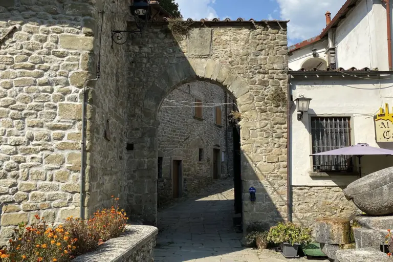 Castello della Verrucola de' Bosi 5