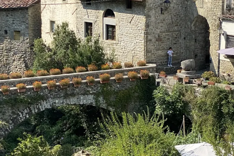 Castello della Verrucola de' Bosi 7