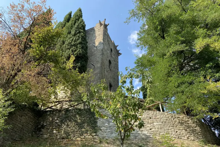 Castello della Verrucola de' Bosi 10
