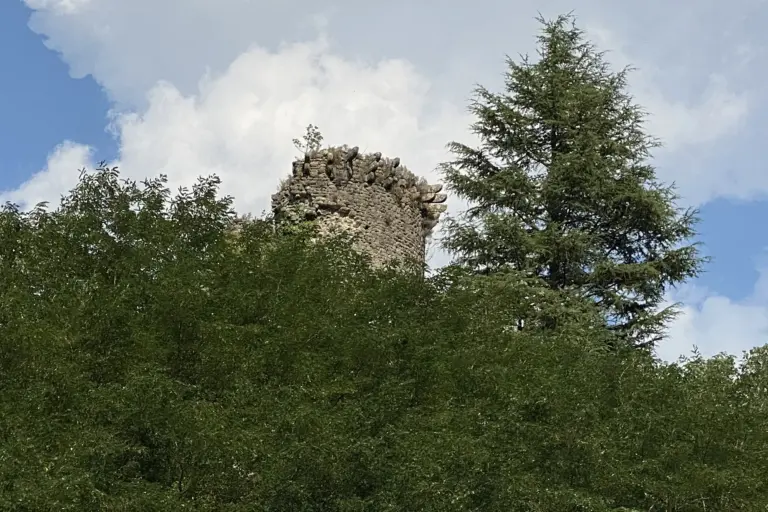 Castello della Verrucola de' Bosi 11