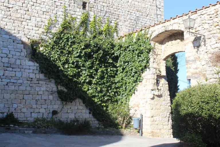 Castello di Vertine 5