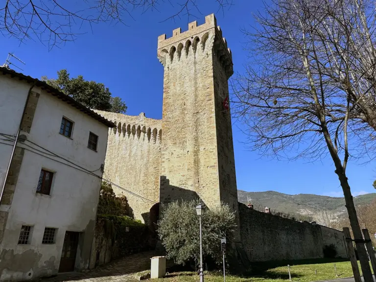 Rocca e Mura di Vicopisano 3