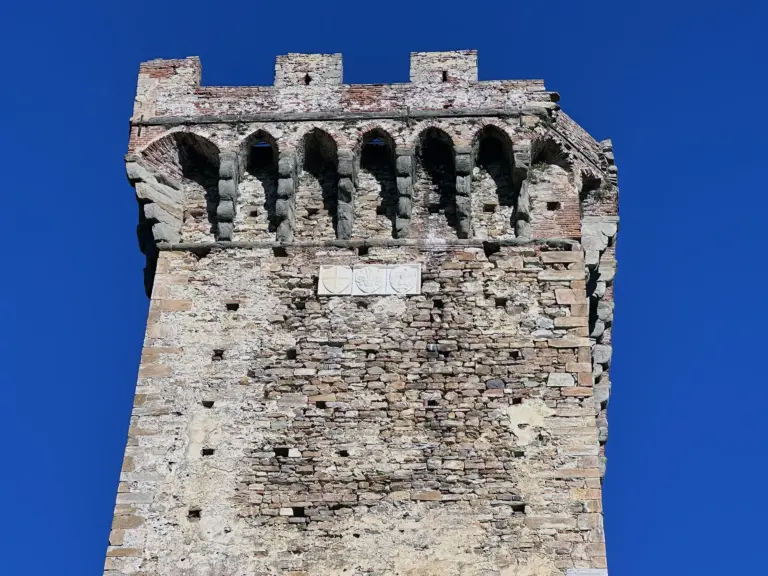 Rocca e Mura di Vicopisano 5