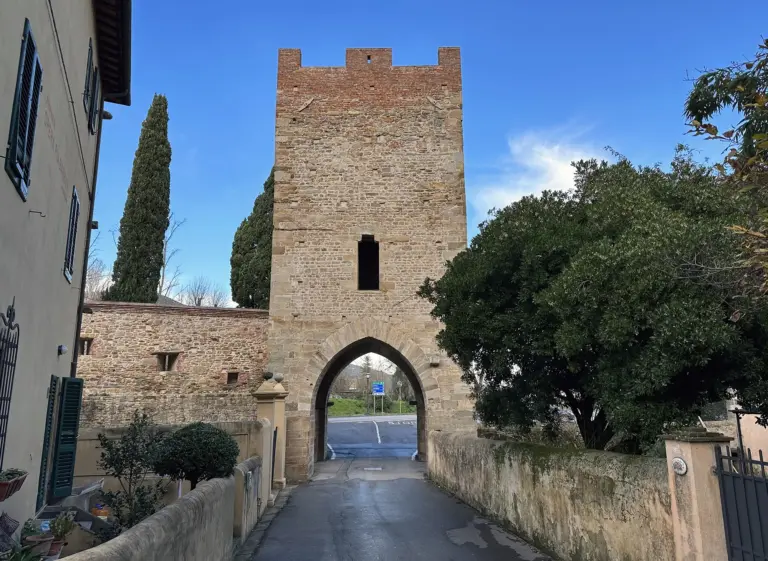 Rocca e Mura di Vicopisano 15