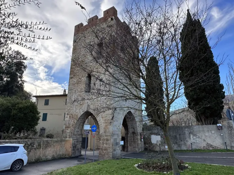 Rocca e Mura di Vicopisano 16