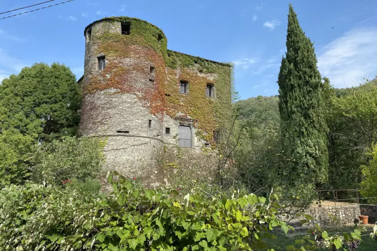 Castello di Villa di Tresana 2