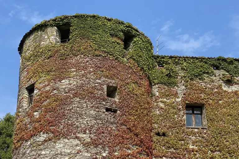 Castello di Villa di Tresana 4