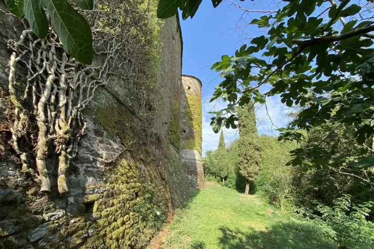 Castello di Villa di Tresana 6